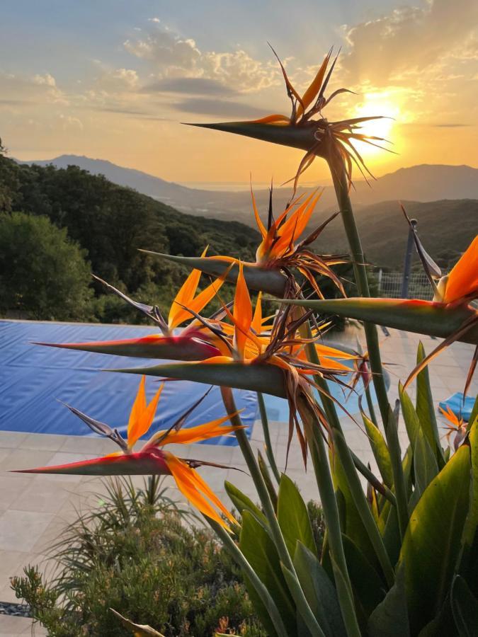 Villa U Tramontu Granace Exterior foto